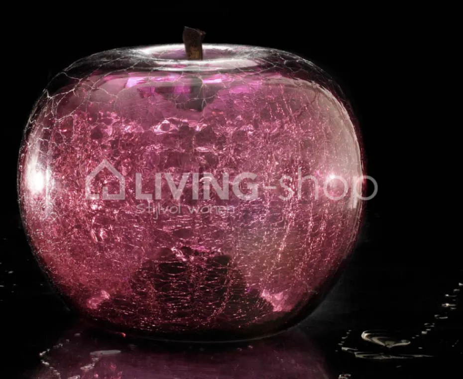 BULL&STEIN 3 Appels transparence Bull & Stein