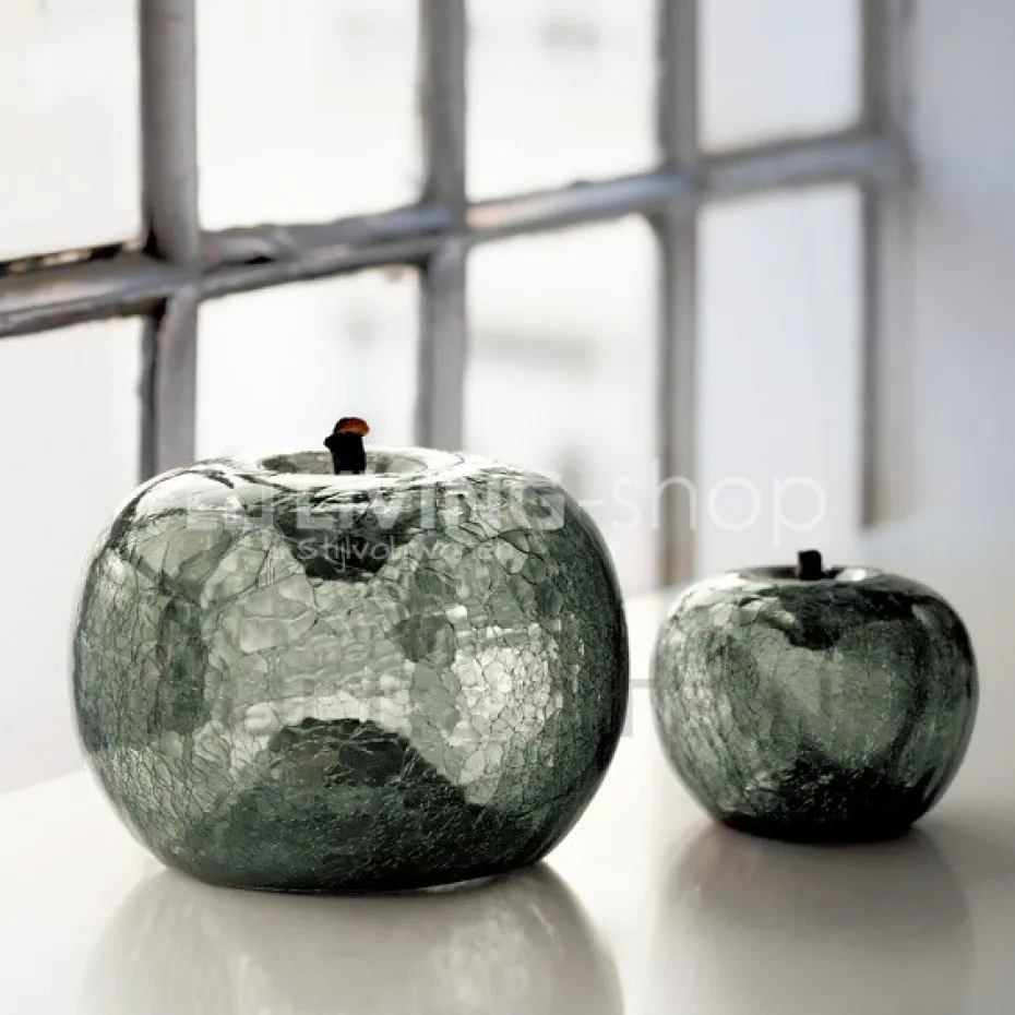 BULL&STEIN 3 Appels transparence Bull & Stein