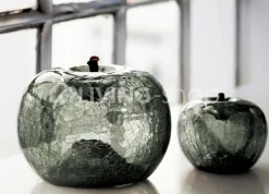 BULL&STEIN 3 Appels transparence Bull & Stein