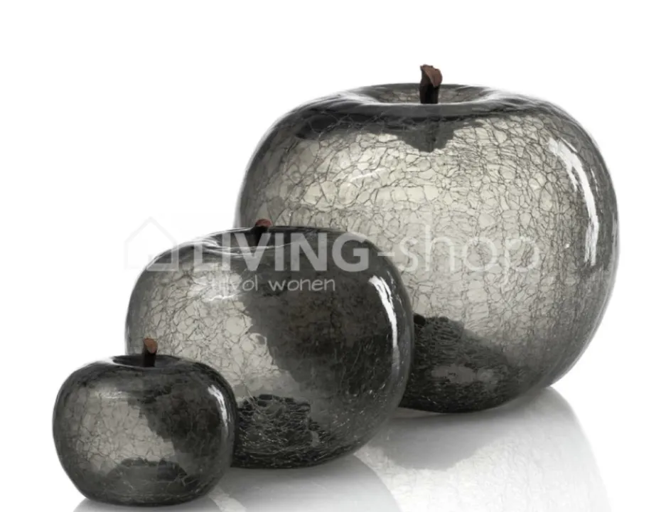 BULL&STEIN 3 Appels transparence Bull & Stein
