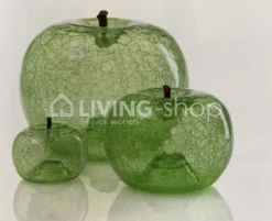 BULL&STEIN 3 Appels transparence Bull & Stein