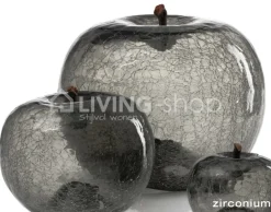 BULL&STEIN 3 Appels transparence Bull & Stein