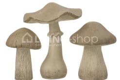 J-LINE 3 Deco paddenstoelen Danda tuindecoratie