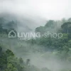 Rebel Walls Behang Misty Forest