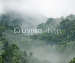 Rebel Walls Behang Misty Forest
