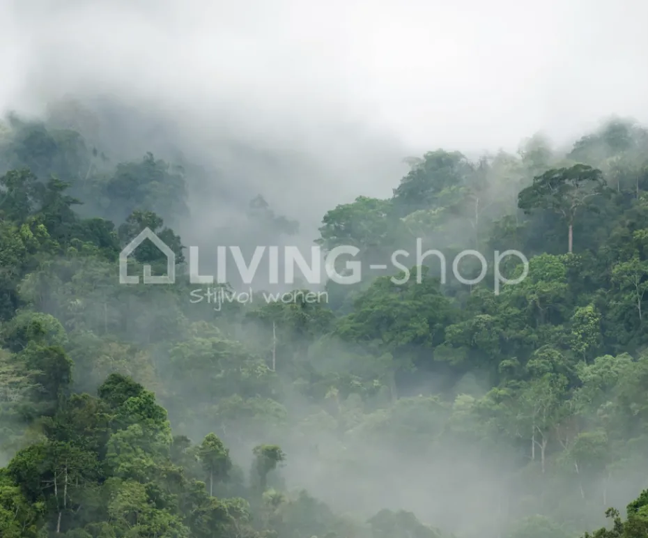 Rebel Walls Behang Misty Forest