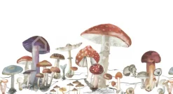 Rebel Walls Behang sprookjesbos met paddestoelen uit het bos wonderwoods