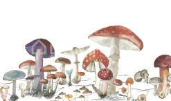 Rebel Walls Behang sprookjesbos met paddestoelen uit het bos wonderwoods