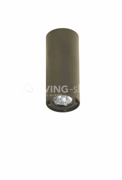 Verlichting online Bronzo Plafondlamp 2 spots brons