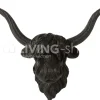 J-LINE Buffel schedel Zwart Small dierenschedel