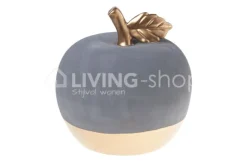 Cosy & Trendy Decoratie appel beeld
