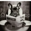 J-LINE Glazen kader bulldog WC wanddecoratie