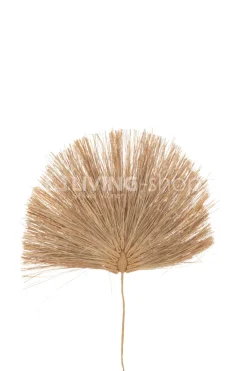 J-LINE gedroogde bloemen 8 takken blad gras naturel