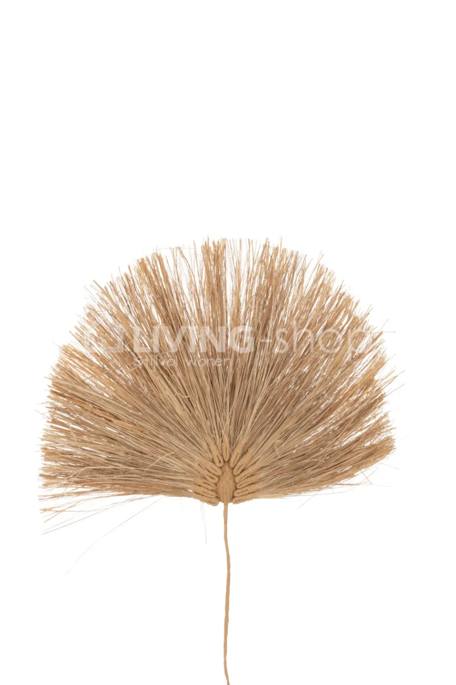 J-LINE gedroogde bloemen 8 takken blad gras naturel