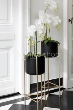 J-LINE Orchidee fresh touch large