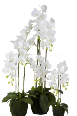 J-LINE Orchidee fresh touch large