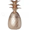 Cosy & Trendy Medium voorraadpot ananas zilver beker 400ML