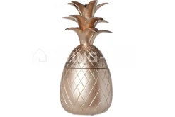 Cosy & Trendy Medium voorraadpot ananas zilver beker 400ML