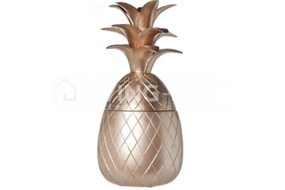 Cosy & Trendy Medium voorraadpot ananas zilver beker 400ML