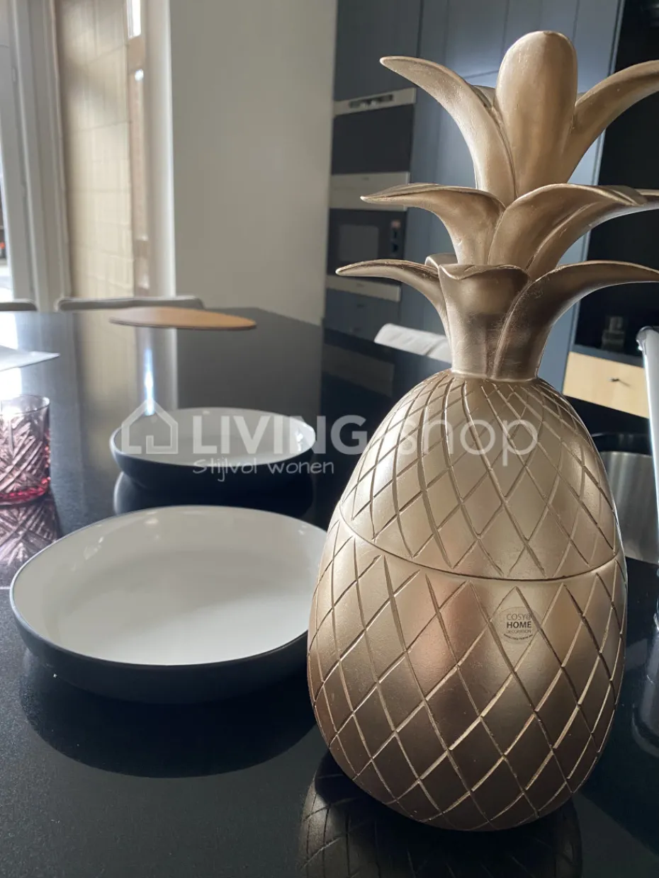 Cosy & Trendy Medium voorraadpot ananas zilver beker 400ML
