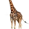 Lou&Friends Muursticker giraf L XS