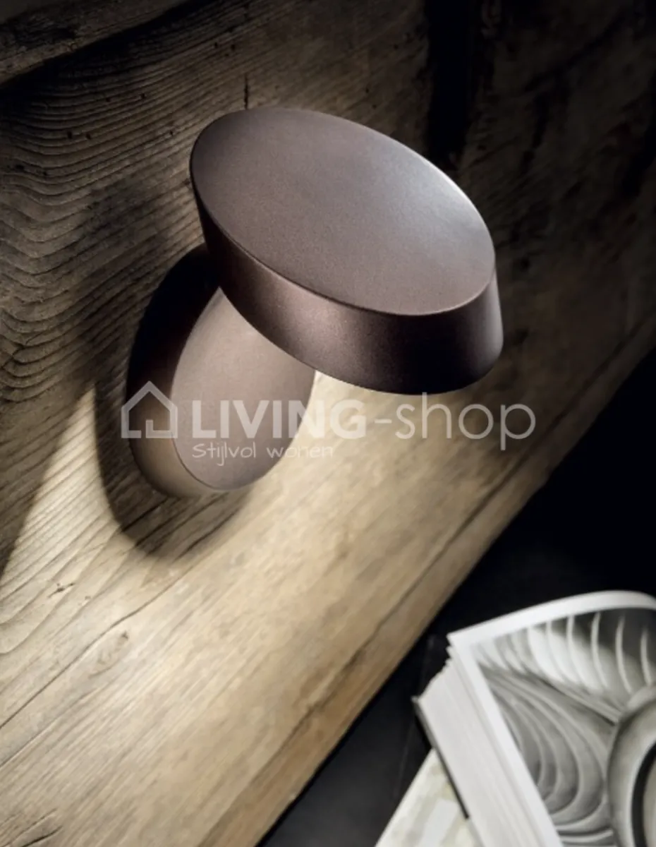 Pin-up wandlamp en plafondlamp brons koper Lodes