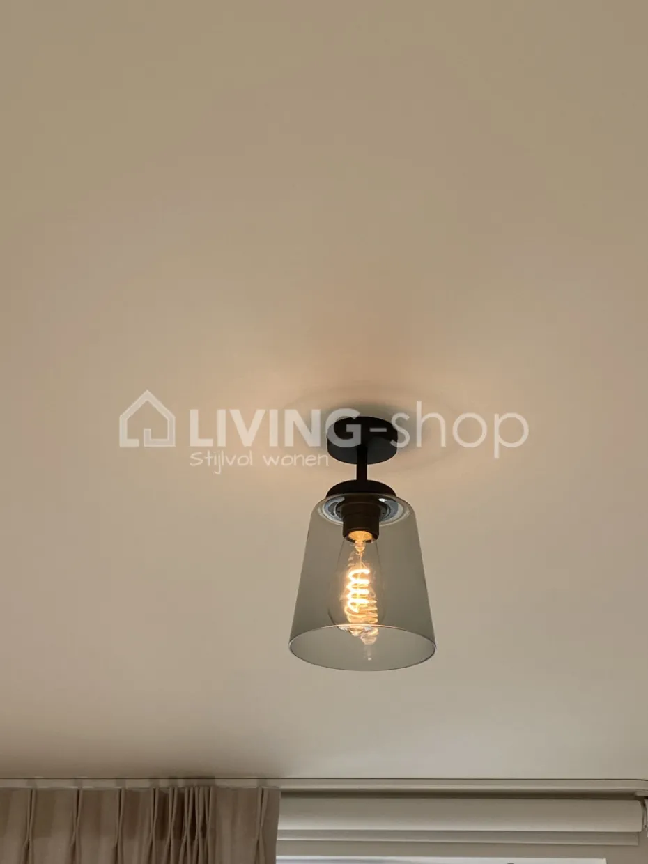 Verlichting online Retro loft plafondlamp donkerbrons met glazen lampenkap grijs fume