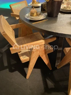 TIMELESS LIVING Rotan stoel landelijk Scandinavische stijl