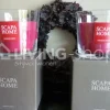 SCAPA HOME Geurkaars Ambiance, Rood Canadian Forest