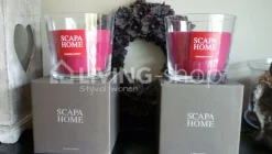 SCAPA HOME Geurkaars Ambiance, Rood Canadian Forest