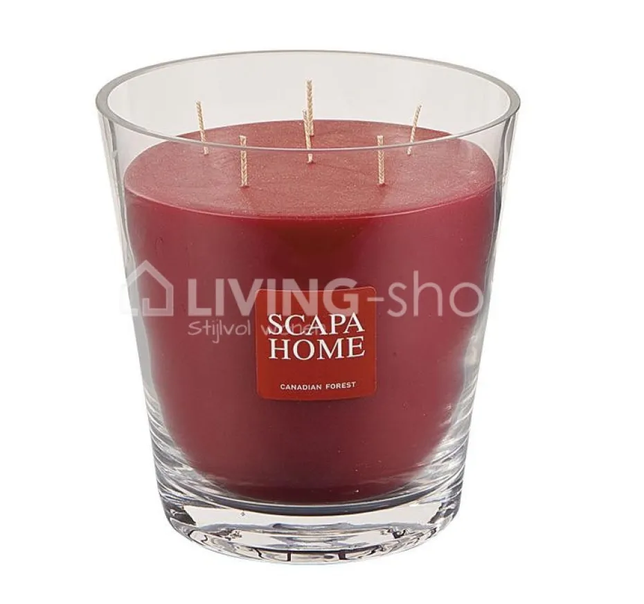 SCAPA HOME Geurkaars Ambiance, Rood Canadian Forest