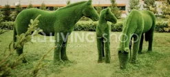 Tuinbeelden 3 paardenbeelden